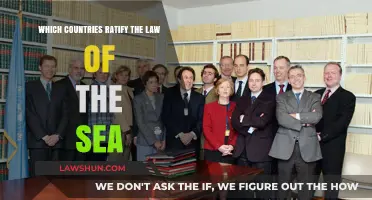 Global Maritime Governance: Which Nations Ratify the Law of the Sea?