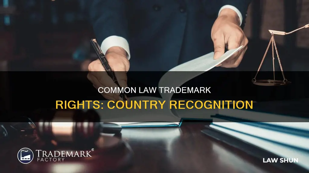 Common Law Trademark Rights: Country Recognition | LawShun
