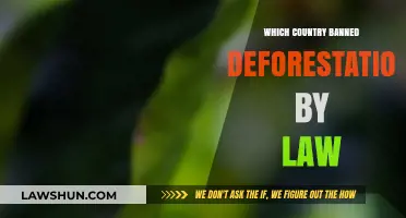 Global Green Victory: Country Enacts Historic Deforestation Ban by Law