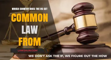 The US and Common Law: Whose Rules?