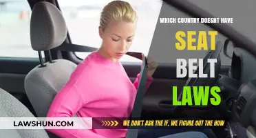 Surprising Nations Without Seat Belt Laws: Global Road Safety Gaps