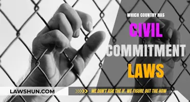Exploring Nations with Civil Commitment Laws: A Global Overview