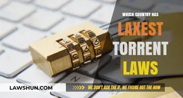 Exploring Nations with the Most Lenient Torrent Laws and Regulations