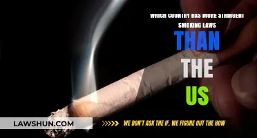 Global Smoke-Free Zones: Which Country Outpaces the US in Smoking Laws?