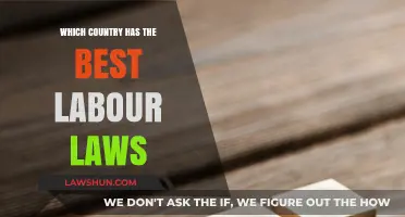 Exploring Global Labor Laws: Which Country Offers Workers the Best Protection?