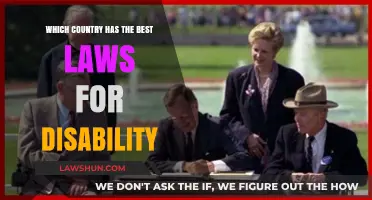 Global Disability Rights: Which Nation Leads in Inclusive Legislation?