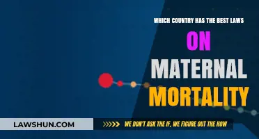 Global Maternal Health: Which Country's Laws Save the Most Lives?