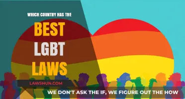 Global Pride: Ranking Nations with the Most Progressive LGBT Laws