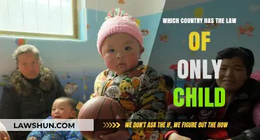Exploring the One-Child Policy: Which Country Enforces This Unique Law?