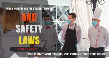 Global Health and Safety: Which Nation Enforces the Strictest Laws?