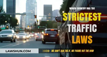 Exploring the World's Toughest Traffic Laws: Which Country Reigns Supreme?