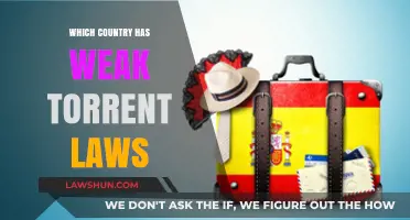 Torrent-Friendly Nations: Exploring Countries with Lenient File-Sharing Laws