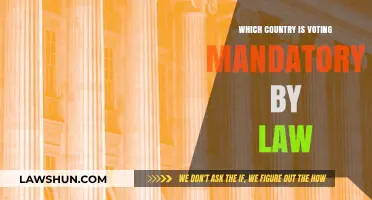 Global Voting Laws: Where Casting a Ballot is Legally Required