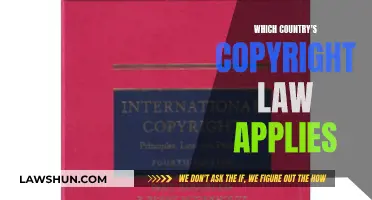 Global Copyright Law: Whose Rules Apply?