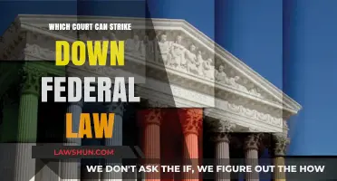 Supreme Court: The Only Federal Law Interpreter