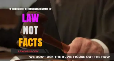 Legal vs. Factual Disputes: Which Court Decides on Law Interpretation?
