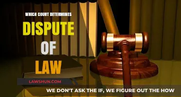 Understanding Legal Disputes: Which Court Determines Conflicts of Law?