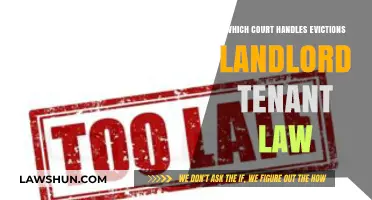 Understanding Eviction Courts: Landlord-Tenant Law and Jurisdiction Explained