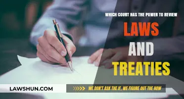 Judicial Authority: Which Court Reviews Laws and Treaties?