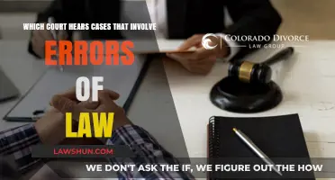 Court Errors: Law Cases and Appeals