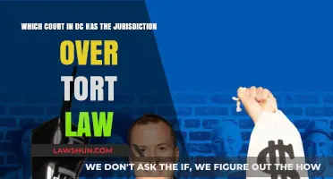 DC Tort Law Jurisdiction: Which Court Handles Civil Wrongs?