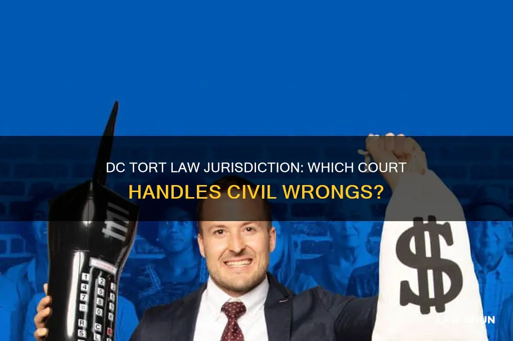 which court in dc has the jurisdiction over tort law