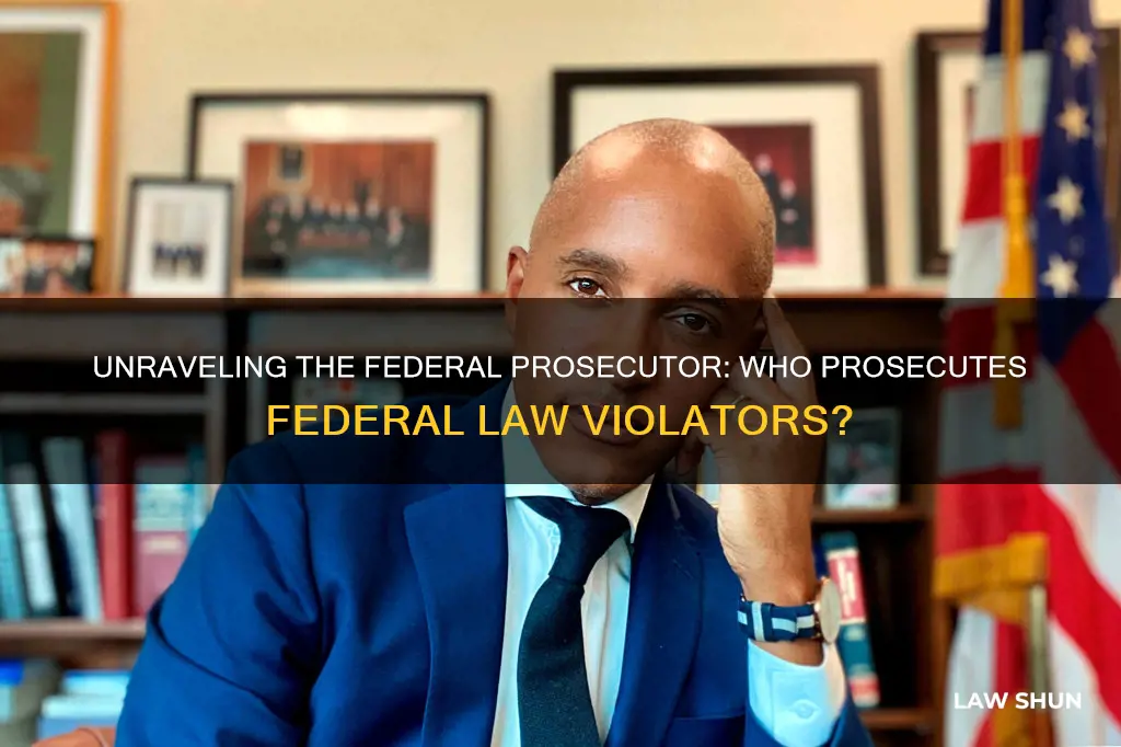 which court official prosecutes people accused of breaking federal law