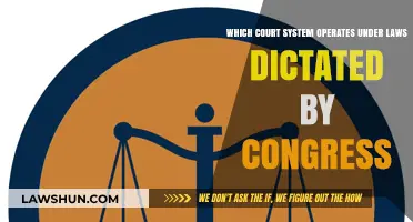 Congressionally Dictated Laws: Understanding the Federal Court System's Operation