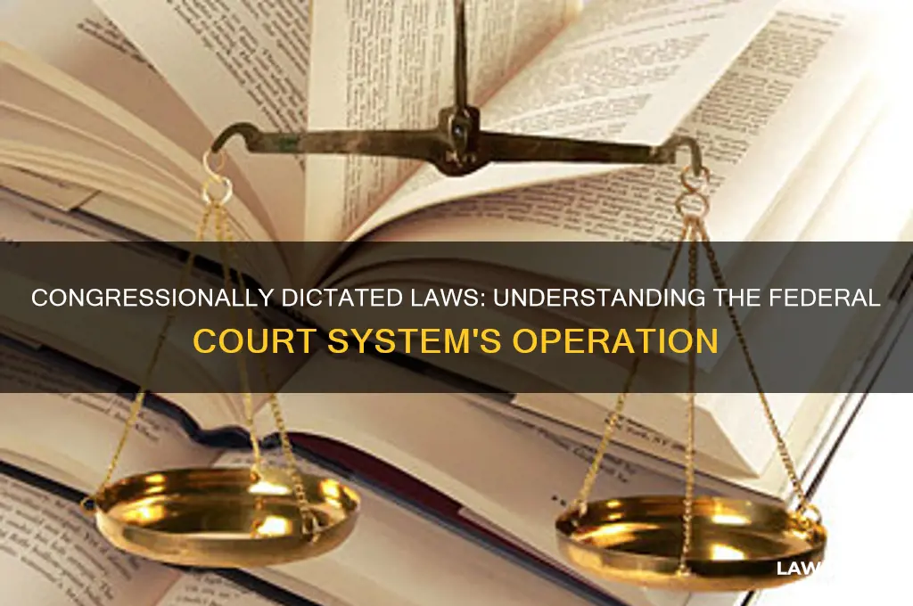 which court system operates under laws dictated by congress