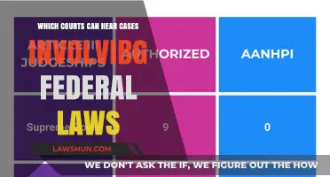 Federal Law Cases: Which Courts Have Jurisdiction?