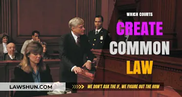 Understanding Common Law: Court Decisions Matter