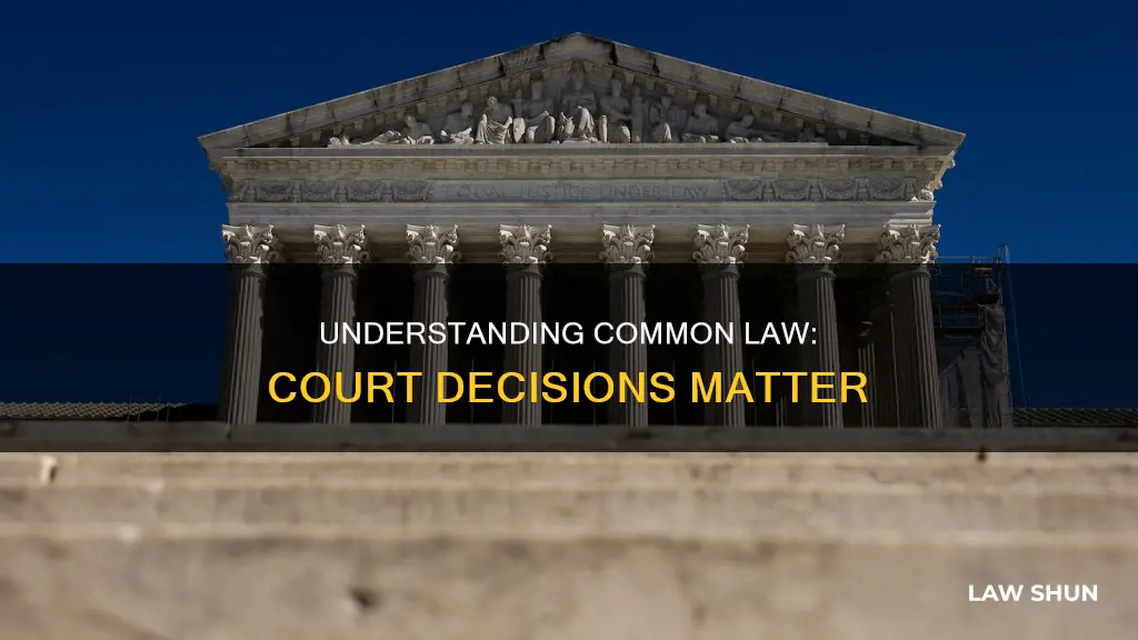 which courts create common law