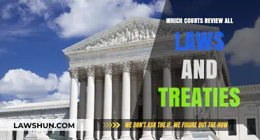 Judicial Oversight: Which Courts Review Laws and Treaties Globally?