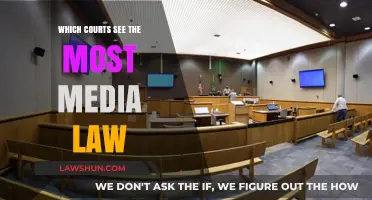 Media Law in Focus: Courts Handling High-Profile Cases