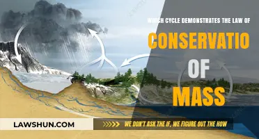 Understanding the Law of Conservation of Mass in the Water Cycle