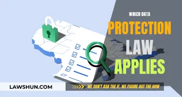 Data Protection Laws: Navigating the Complex Landscape