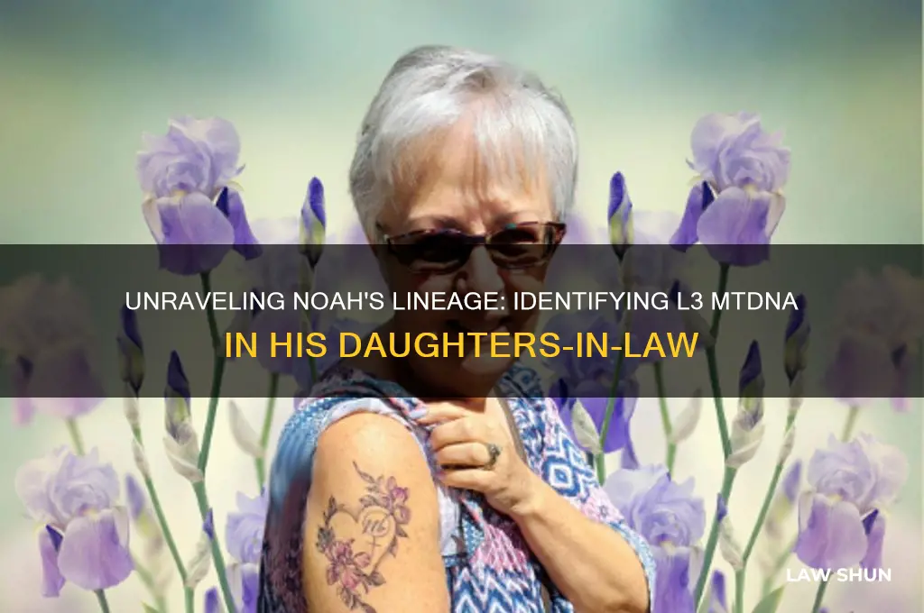 which daughter in law of noah was likely l3 mtdna
