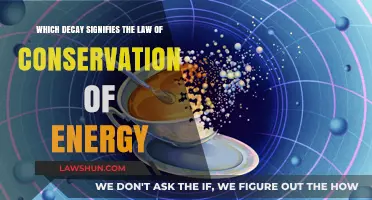 Decay Processes Upholding the Law of Conservation of Energy Explained