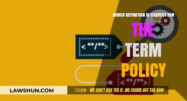Understanding Policy: Clarifying the Correct Definition and Its Implications