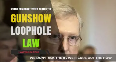 Democrat Defies Party Lines: Voting Against Gun Show Loophole Law