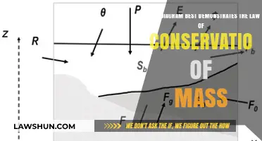 Visualizing Mass Conservation: The Ideal Diagram for Understanding the Law