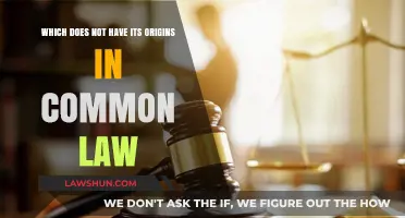 Civil Law: A Distinct Legal System