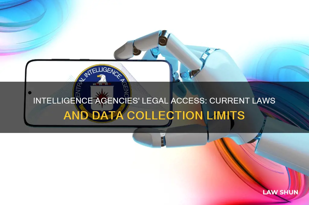 which does the current law allow intelligence agencies to access