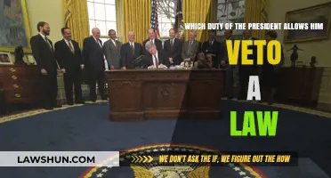 Presidential Veto Power: Understanding the Executive's Authority to Reject Laws