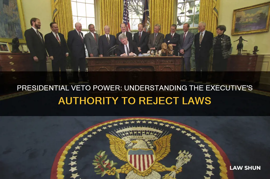 which duty of the president allows him veto a law