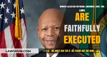 The Role of the President in Enforcing U.S. Laws