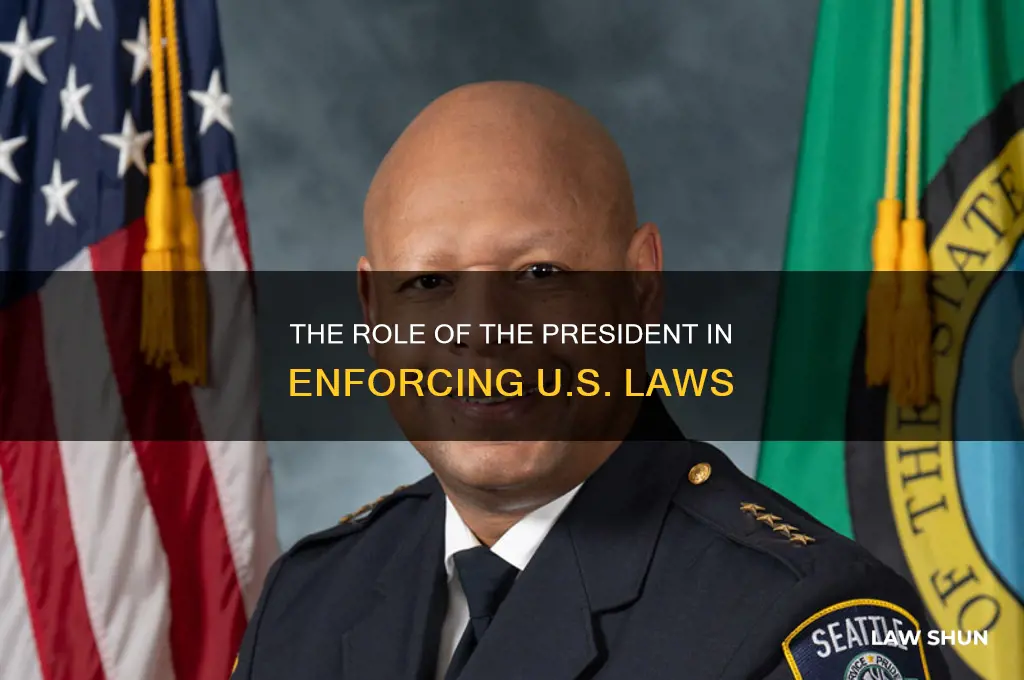 which elected official ensures that the laws are faithfully executed