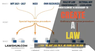 The Vital Element for Creating Law