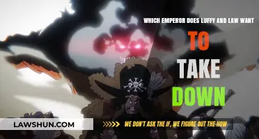 Luffy and Law's Alliance: Targeting the Tyrant Emperor Blackbeard
