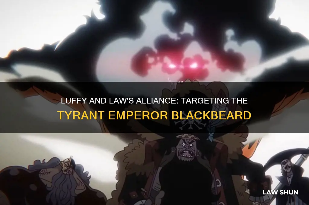 which emperor does luffy and law want to take down